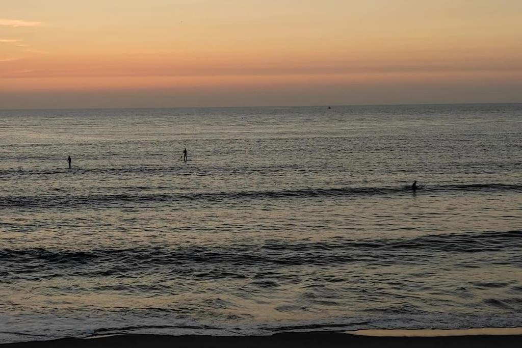Areia Stayinn Beach Apartment Árvore 外观 照片
